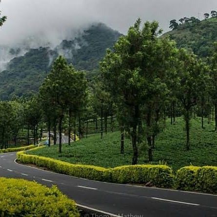 Wayanad